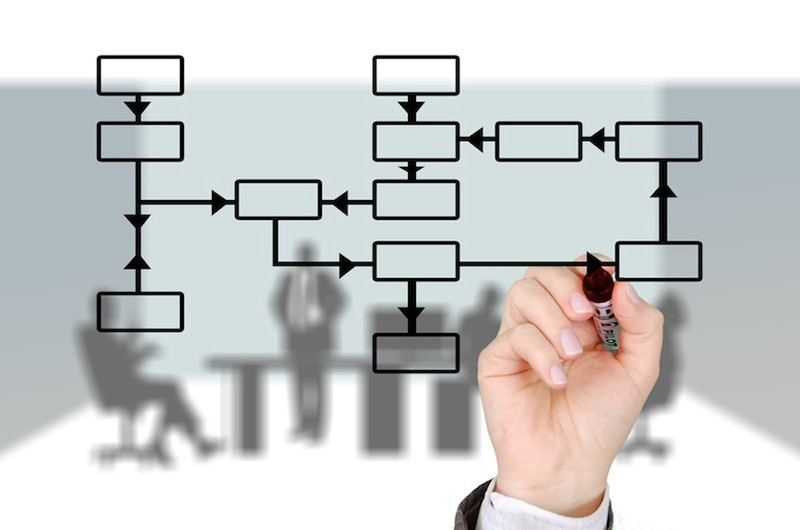 Organizational Structure